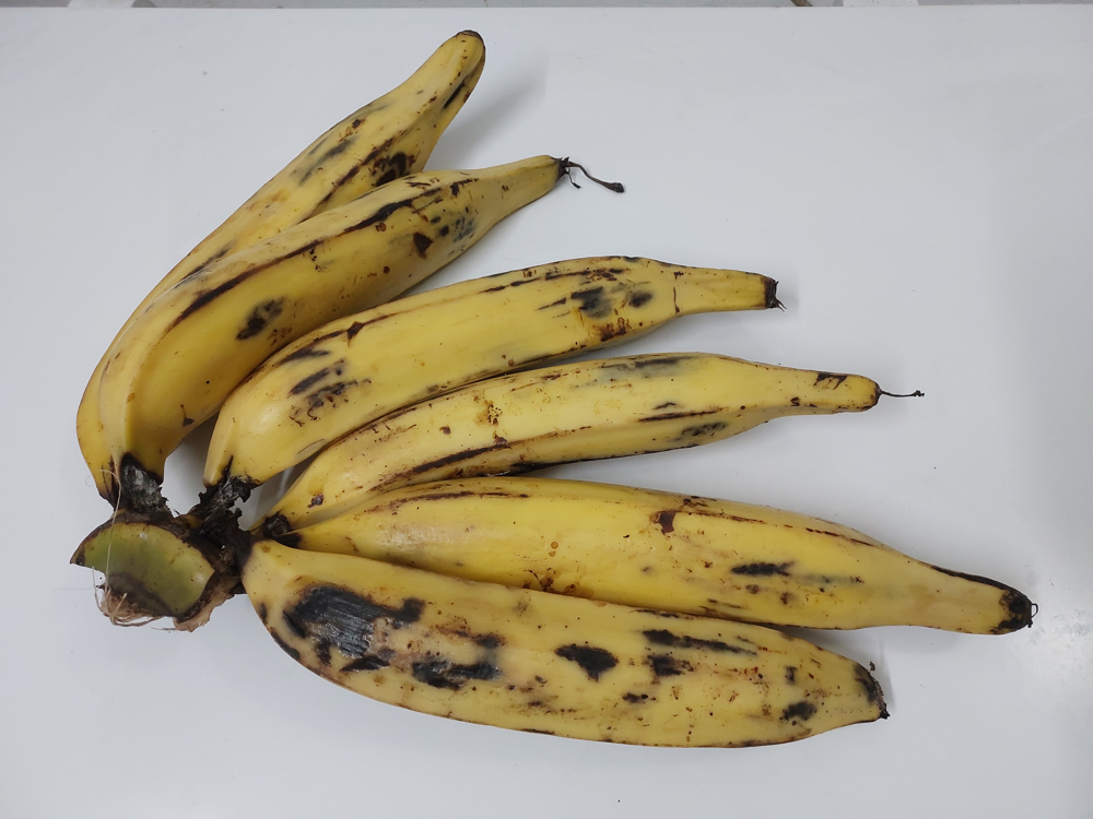 Cluster of ripe yellow plantains – delivered at perfect ripeness via a managed cold chain.