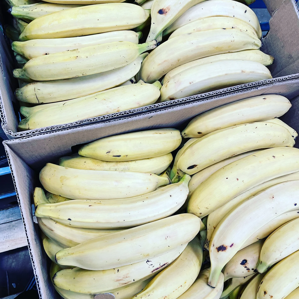 Plantains neatly packed in sturdy wholesale cartons, ready for UK bulk delivery.